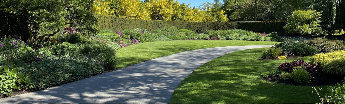 Cerami Commercial Pathway